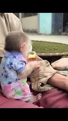 DAVID MONKEY LOOKING CUTE EATING FOOD