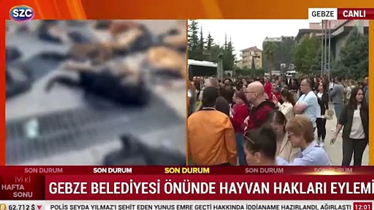 Gebze Belediyesi önünde hayvan hakları eylemi
