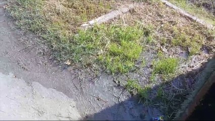 Kaygan yol tehlike saçıyor