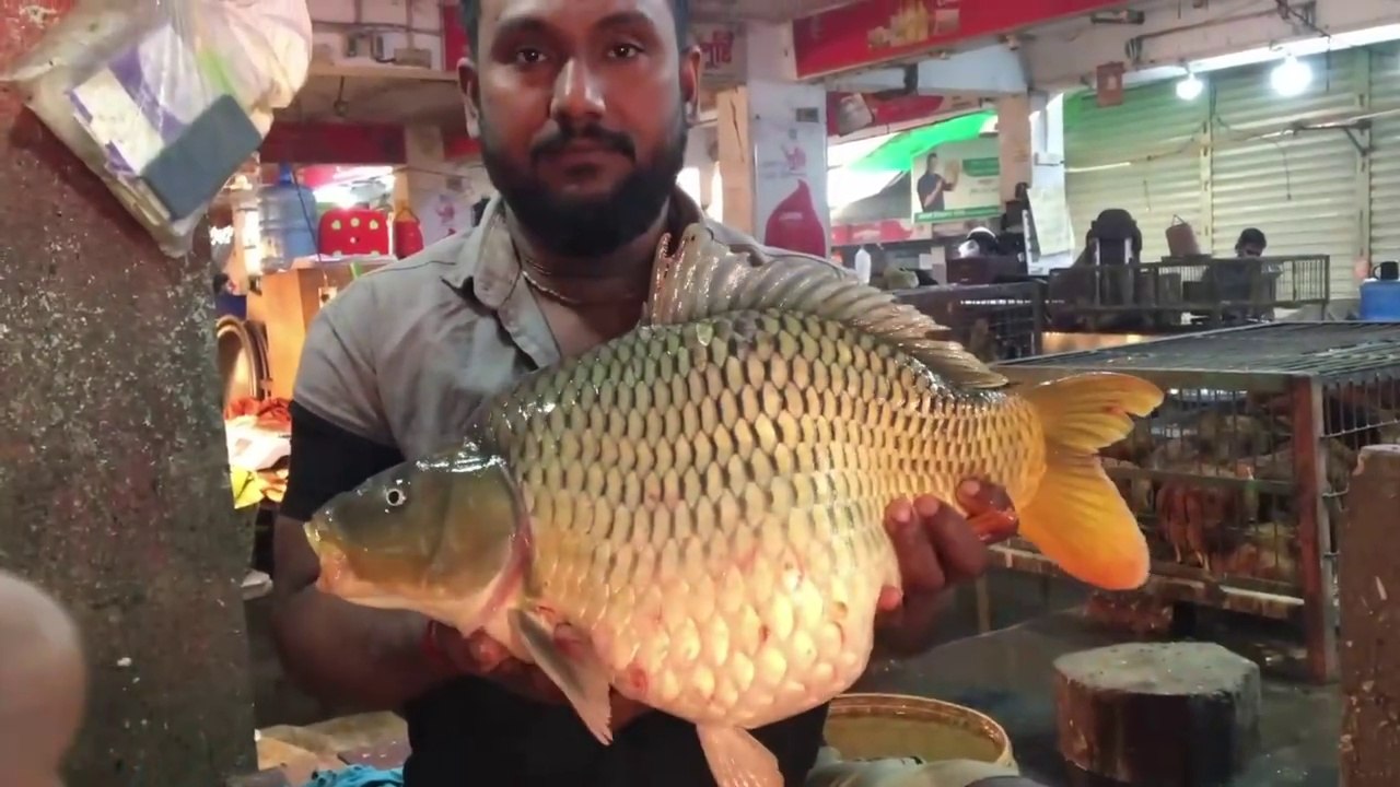 Giant Carp Fish Cutting Live In Fish Market _ Big Carp Fish Cutting Skills