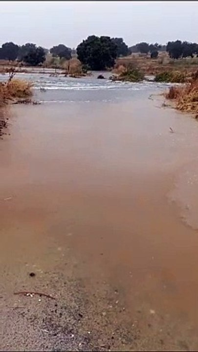 Río Guadarramilla desbordado en Pozoblanco por la borrasca Berenice