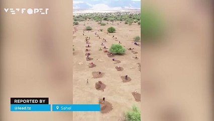 The Great Green Wall of Africa, an ambitious initiative to combat desertification in the Sahel