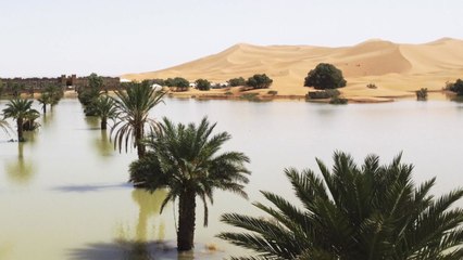 50년 만의 이례적 홍수로 사하라 사막에 호수 생겨 / YTN