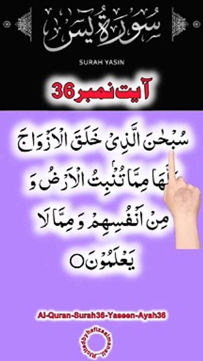Al-Quran - Surah 36 - Yaseen - Ayah 36 | daily tilawat quran | hafiz salman ali
