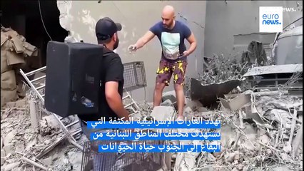 حياة الحيوانات في لبنان بخطر: فرق الإنقاذ تكافح لإنقاذ المتضررين من الحرب الإسرائيلية