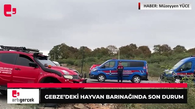 Artı Gerçek, katliamın yaşandığı barınağı görüntüledi: Mamalar yerde, mazgallarda kan var
