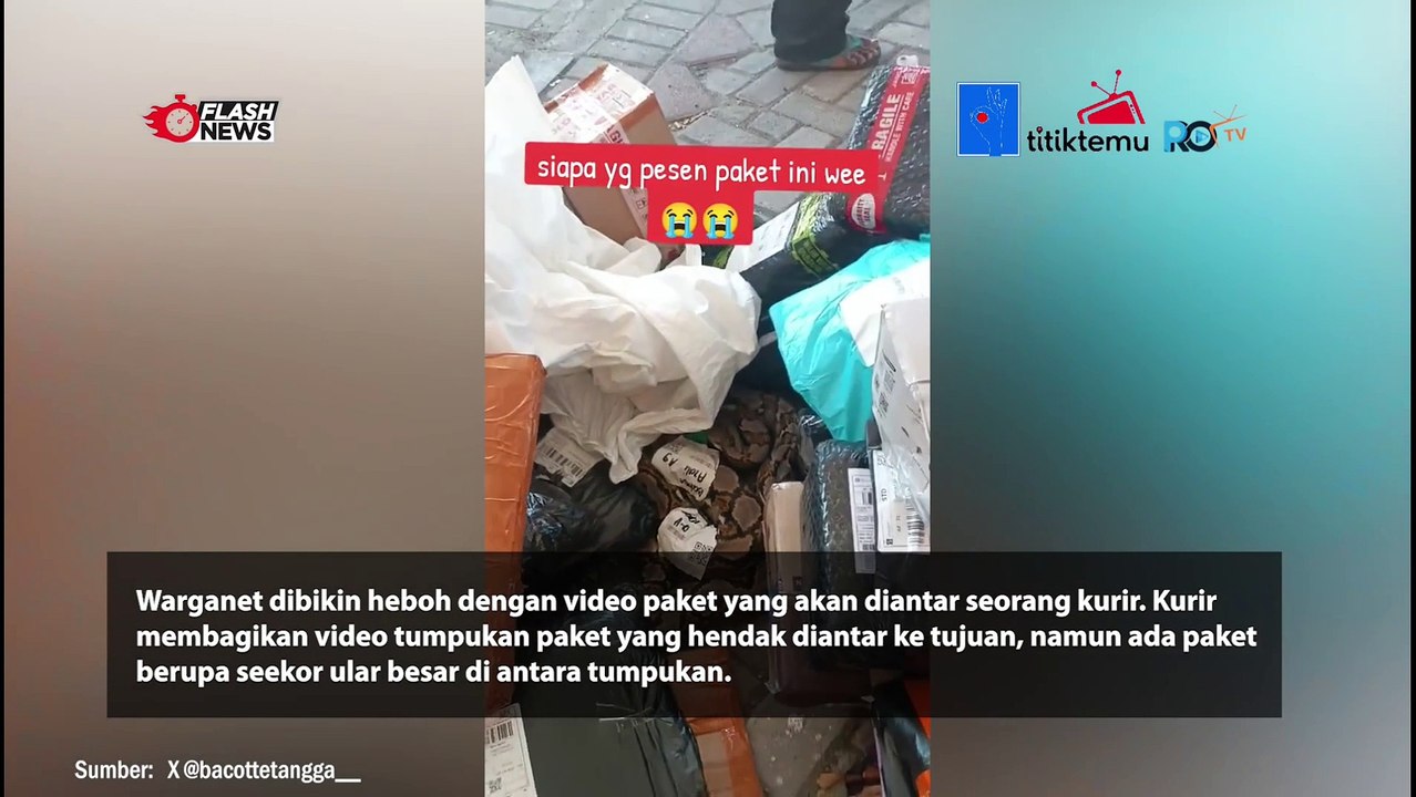 Viral Jasa Pengiriman Barang Terima Paket Ular Piton Tanpa Kandang