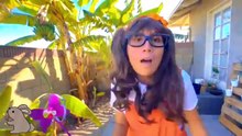 Carnivore Herbivore and Omnivore Safari Animals for kids