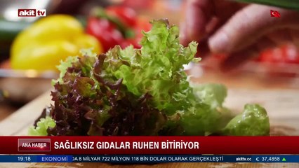 12 Ekim 2024 Akit TV Ana Haber