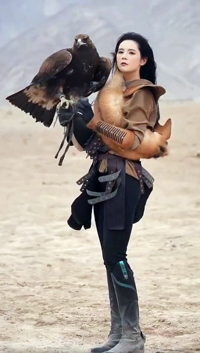 Falcon