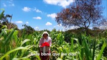 Bonezinho Vermelho - COM LEGENDA DESCRITIVA