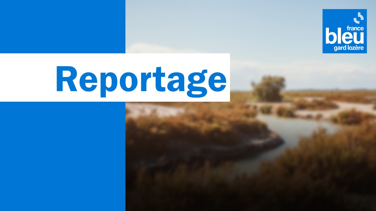 Les pompiers de Marguerittes au sommet du Mont-Aigoual