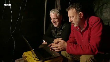 Hidden Camera Reveals Unseen Seal Behaviour | Animals With Cameras