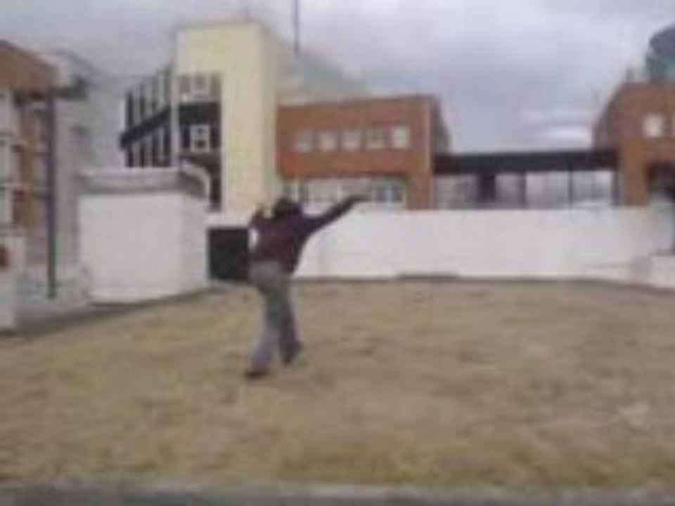 Flips