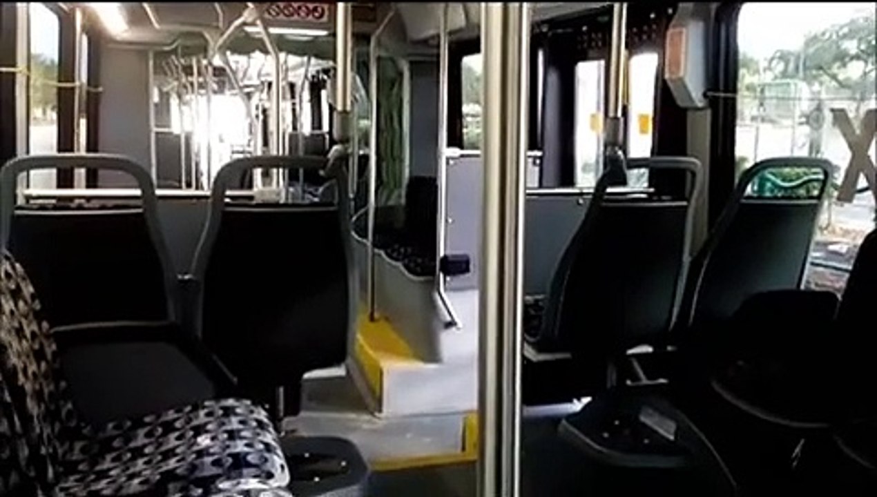Lynx 132-613 Idling