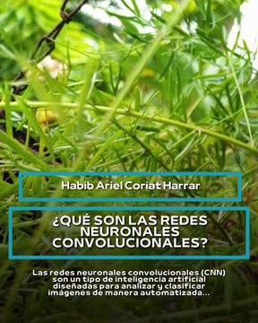 |HABIB ARIEL CORIAT HARRAR | ¿QUÉ SON LAS REDES NEURONALES CONVOLUCIONALES? (PARTE 1) (@HABIBARIELC)
