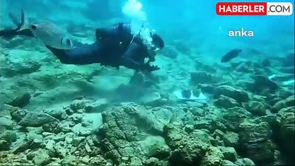 Hükümet Politikalarına Protesto: Dalışla Mesaj Verdi