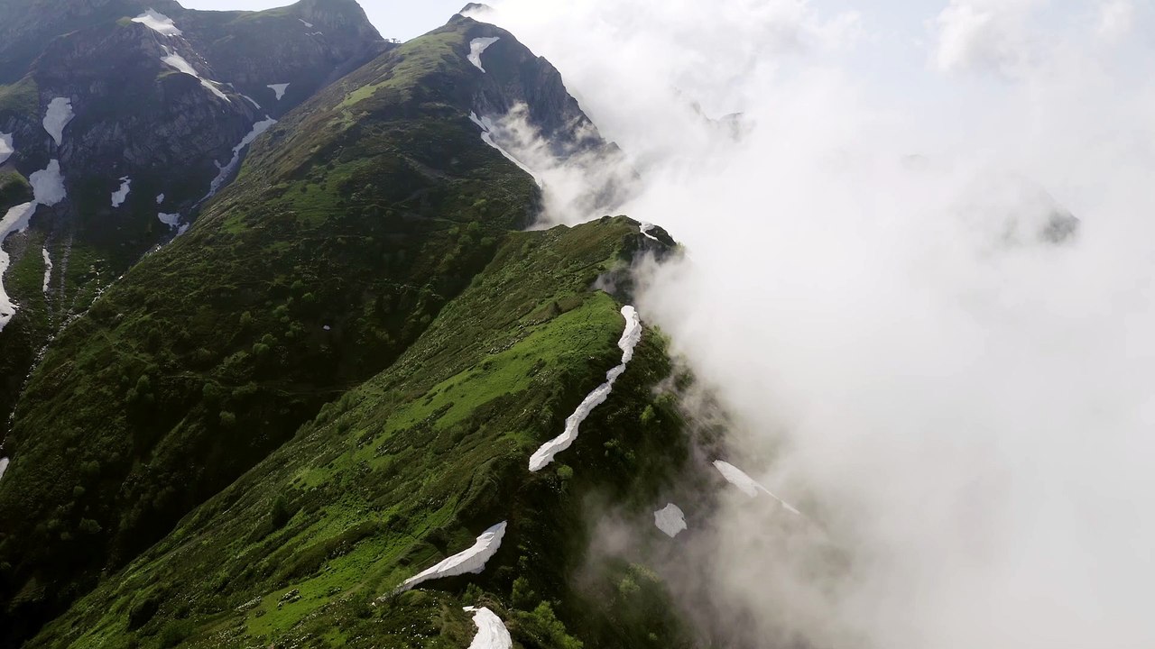Beautiful natur