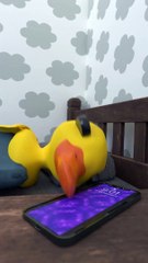 Adorable Alarm Clock Baby Duck Wake-Up Call