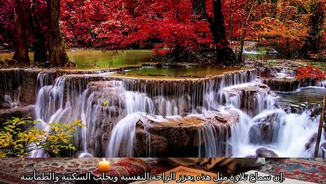 أجمل صوت قرآن مؤثر فى الدنيا يحرك القلوب ويبكي العيون قناة علي الفرهود القرا الكريم