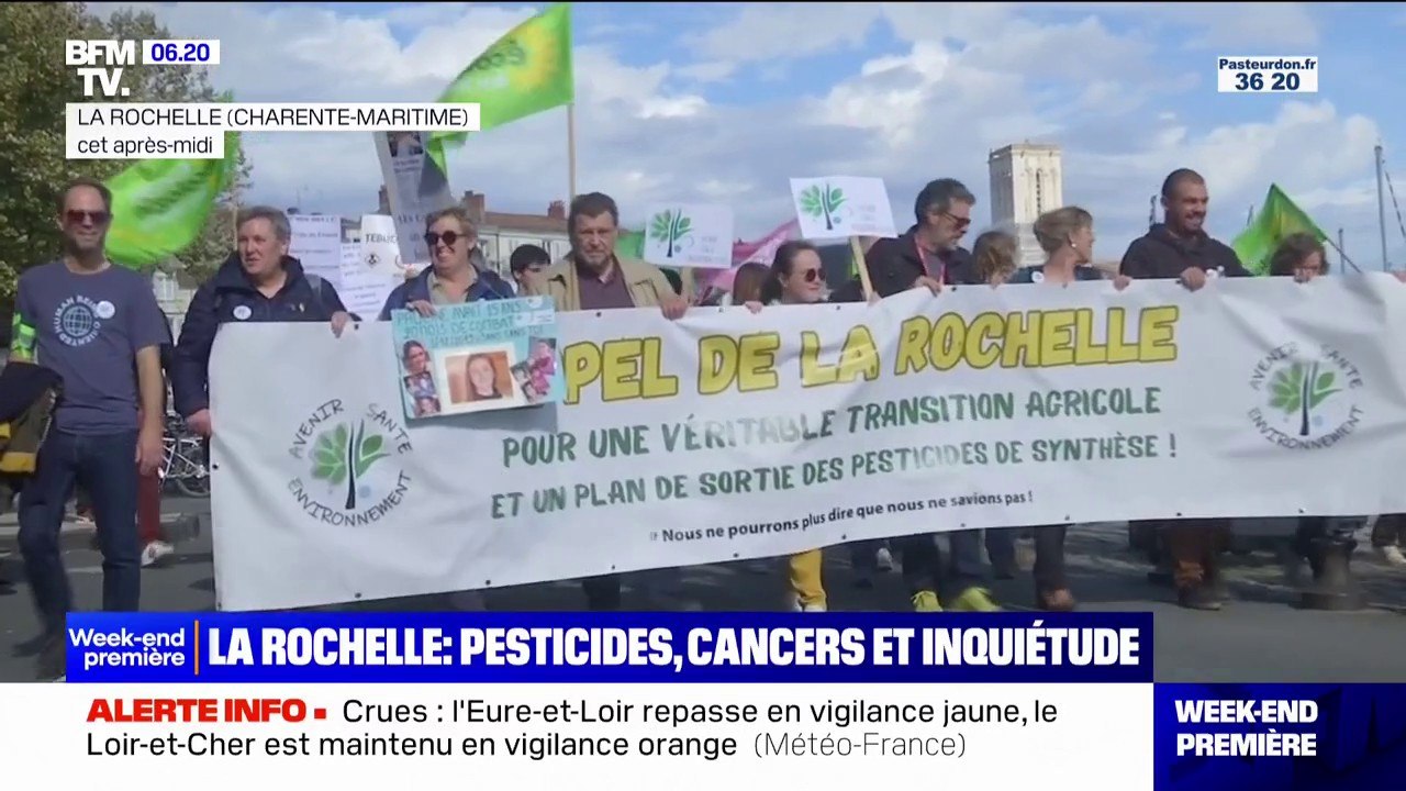 La Rochelle: des traces de pesticides retrouvées dans l'organisme de dizaines d'enfants et une hausse de cancers pédiatriques inquiètent