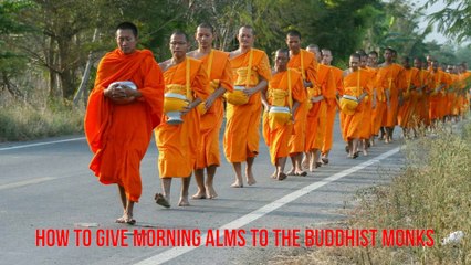 How to Give Morning Alms to the Buddhist Monks & Offering Sangkhathan