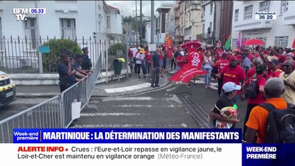 "Cette unité est spécialisée dans la brutalité": en Martinique, les manifestants réclament le départ de la CRS8