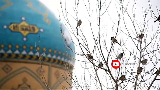 Hadith in Urdu __ Prophet Muhammad S.A.W __ Hadees __ Hadees about Namaz __ ISLAMIC URDU PAKISTAN