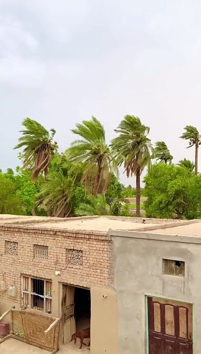 Pind Punjab dey village life in Punjab India and Pakistan