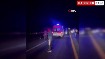 Otomobil İneğe Çarptı: 2 Yaralı