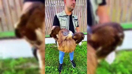 Tedavisi tamamlanan şahin doğaya salındı