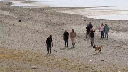 Van’da Rojin Kabaiş’i arama çalışmalarında kadavra köpekleri de kullanılıyor