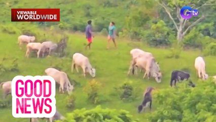 Dalawang magkasintahan, nakunan ng video habang naglalambingan sa bundok! | Good News