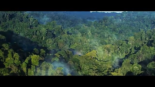 Tarzan (2025) - First Trailer Dwayne Johnson, Megan Fox