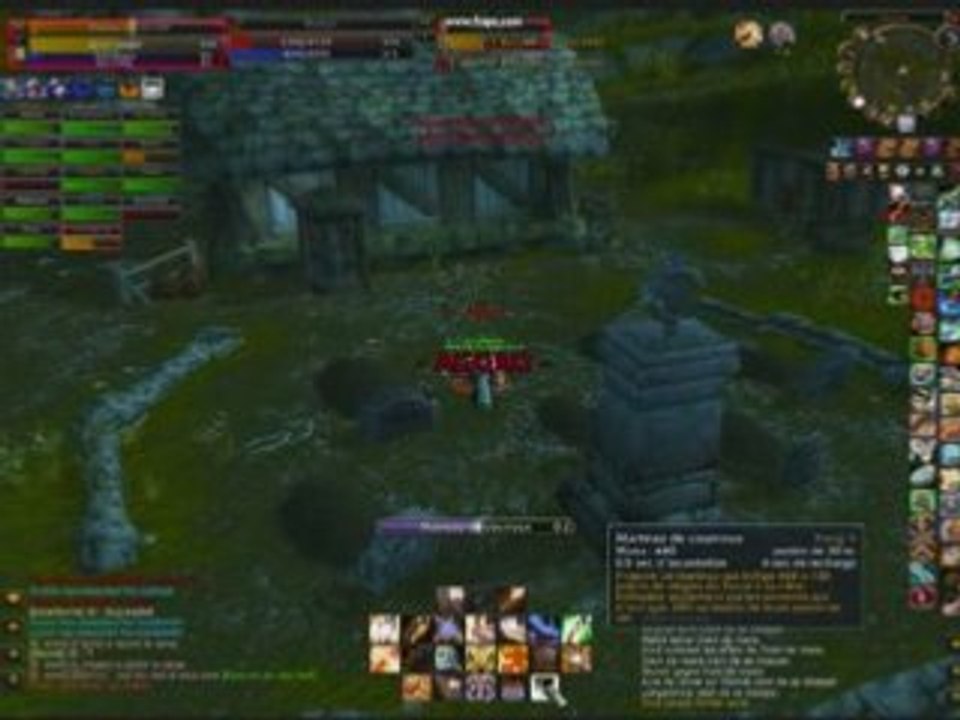 Bug BG