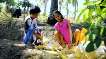 Magkapatid sa Zamboanga Del Norte, naglalakad nang nakaupo | Kapuso Mo, Jessica Soho