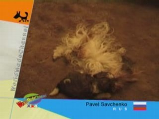 puppy playing with his mom