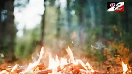 مسلسل البحر الأسود - الحلقة 203 - تركى مدبلج