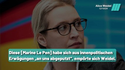 Die AfD und der wachsende Staatsinterventionismus