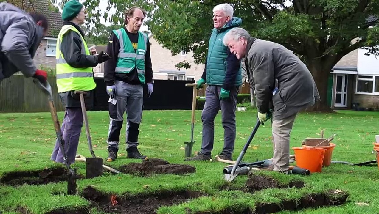 Spring bulbs planting in Glendale Avenue.
