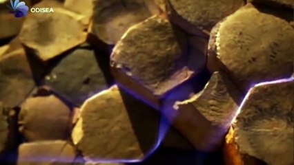 "Descubre Las Formas: El Código de la Ciencia Revelado"