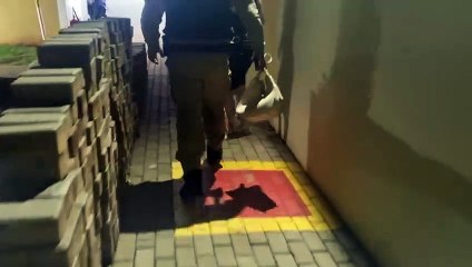 Mulher é detida por embriaguez ao volante durante operação da Transitar