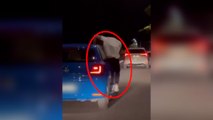 Conduce en zigzag por Chiclana mientras  el copiloto estaba sentado en la ventanilla