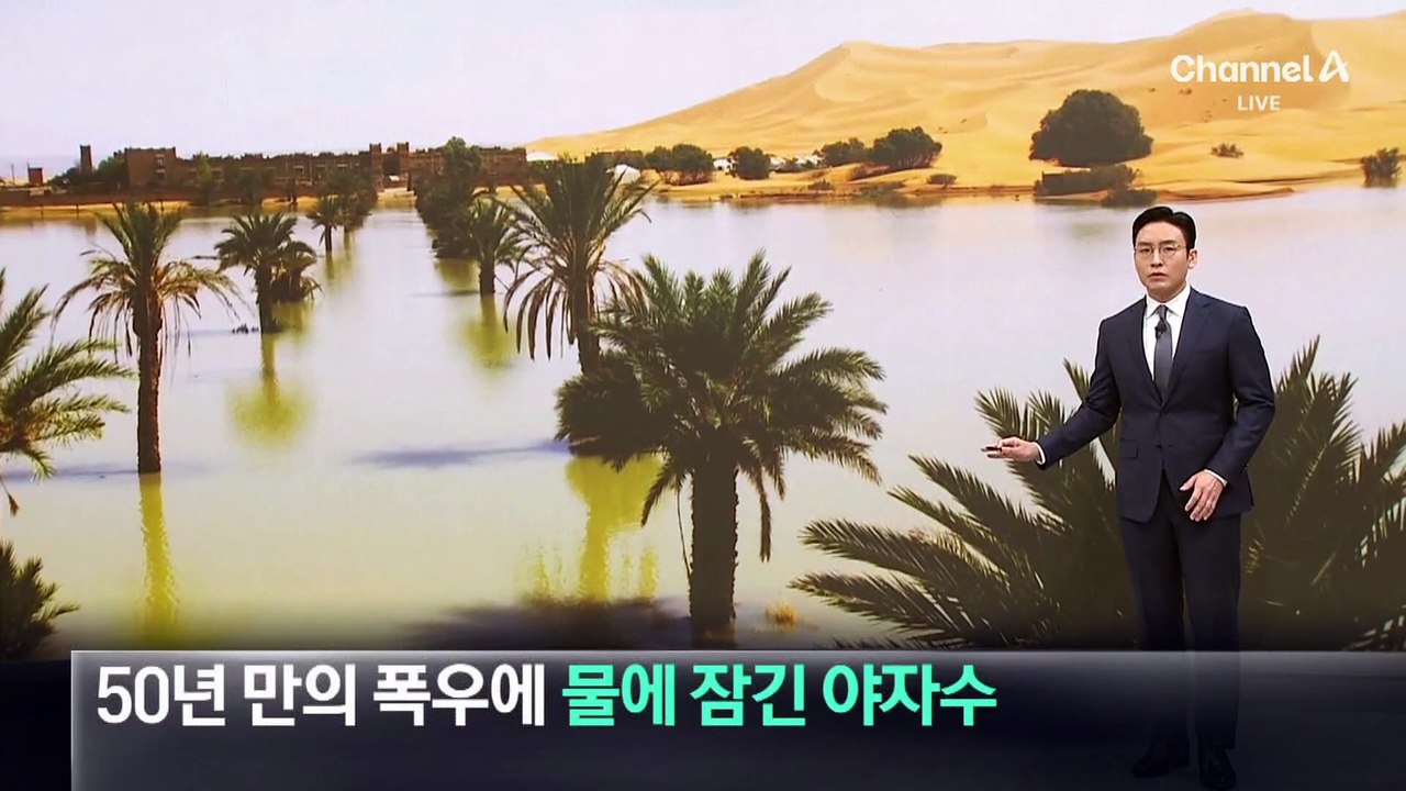사하라 사막 50년 만의 폭우…물에 잠긴 야자수