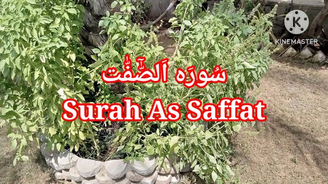 Surah As Saffat , Tilawat As Saffat , quran recitation , learn quran