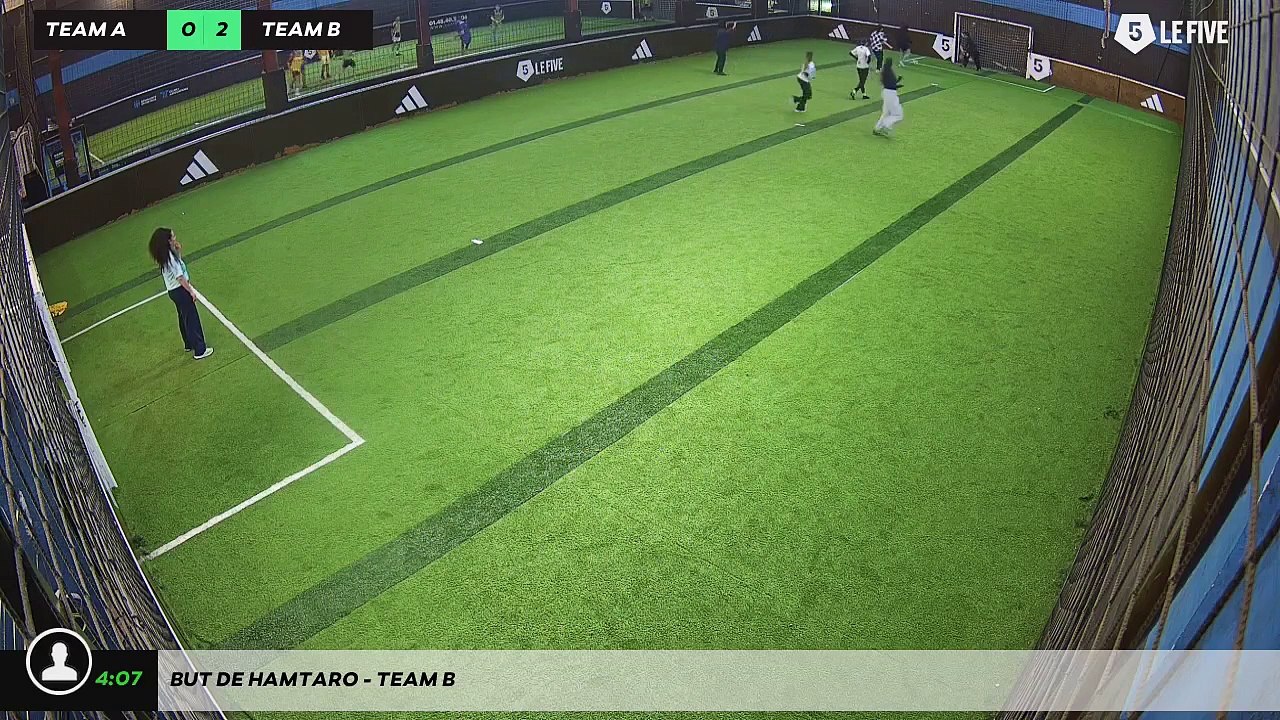 But de Hamtaro - Team B