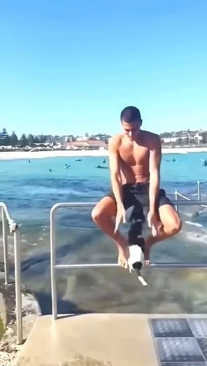 Don't miss the end #trending #funny