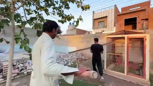 shehar mein dehat ep 67 2024 animal mini zoo Mini Zoo Main Saanp Ghus Aya Hai Sary Animals Danger Main