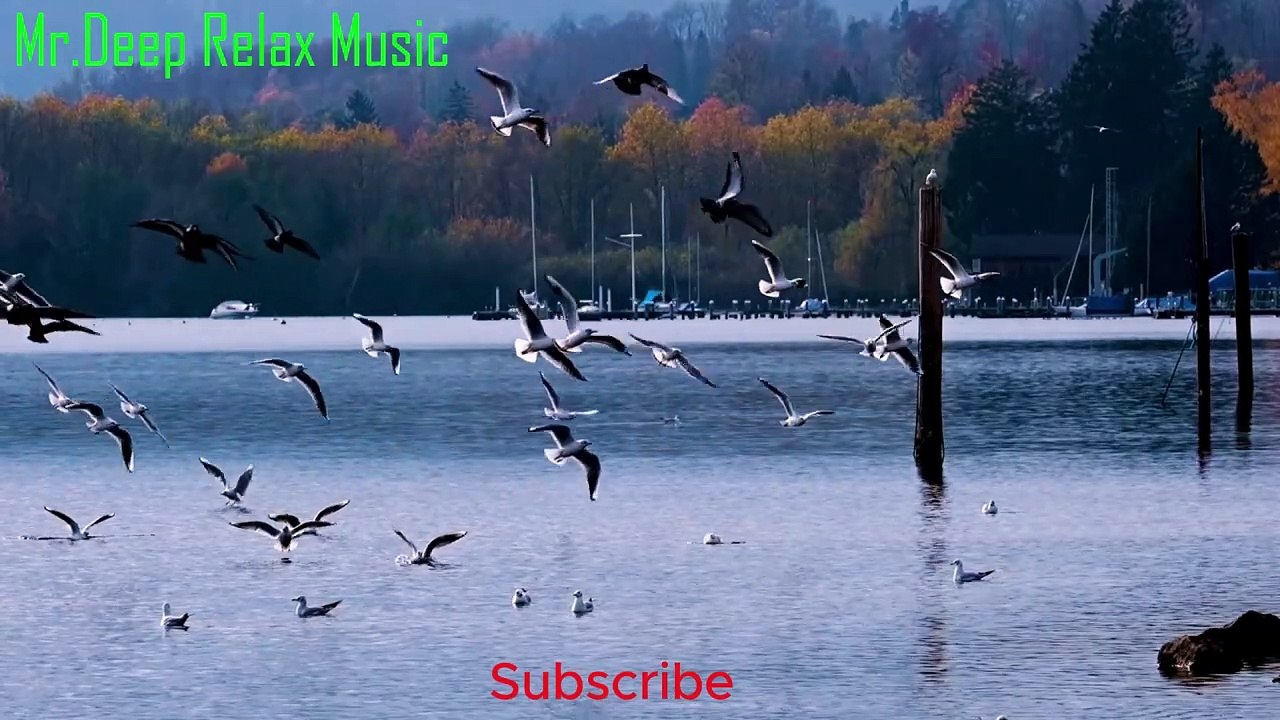 முன்னேறு, நண்பா,உன் கனவுகளுக்கு செல்லவோ!விடாமுயற்சி  நீ தான் உன் கதையின் எழுத்தாளர்!Whispers of Relaxation: Your Ultimate Chill Music