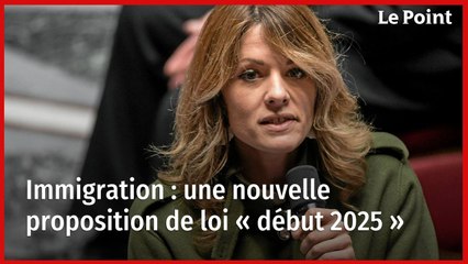 Immigration : une nouvelle proposition de loi « début 2025 »